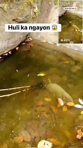 Huli ka #hunting #fishing | Neil Arsenio Pandac