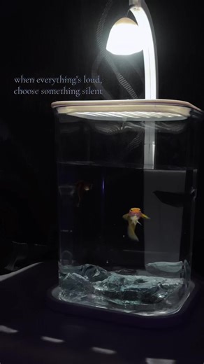 just blup ii then go with the flow #fyp #foryoupage #foryou #fish #pet