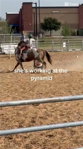 UHGG THE PROGRESS THIS MARE HAS MADE🤭😮‍💨😻 #horse