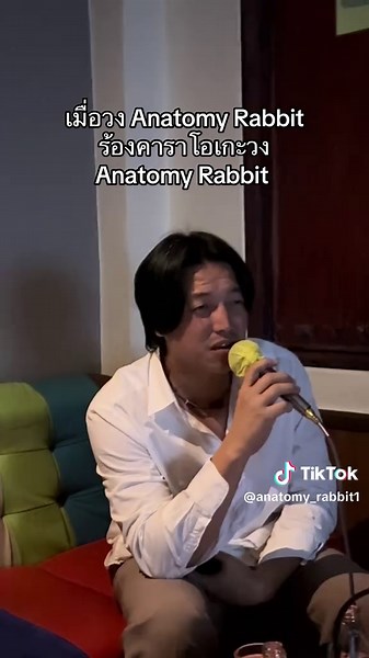 ม่วนๆจอยๆ #anatomyrabbit