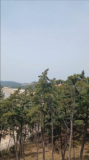 ♡완산도자연휴양림♡ #여행 #자연 #풍경 #힐링