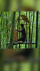 14K views · 216 reactions | Build a house in a bamboo forest #10 #treehousebuilding #build #bushcraft #outdoors #camping #survivalskills #viral_video #bamboo #lifeskills #fypシ゚viralシ | Ankit Gupta | Facebook