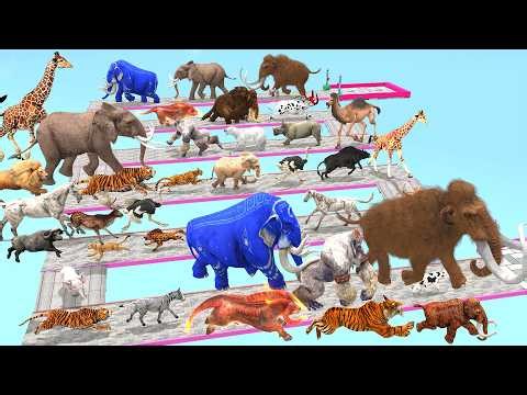 Which is the Fastest? Animals vs Prehistoric Mammals Speed Race Run Zigzag Down Course! from Outside