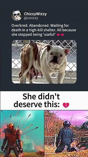 From breeder’s tool to shelter cage 🐾