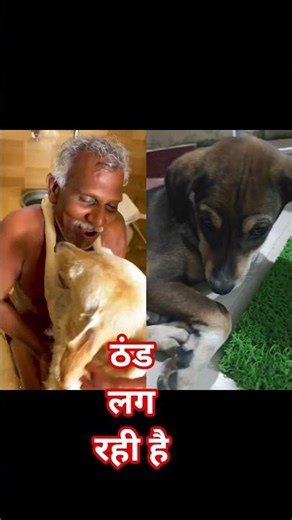 I'm feeling cold #prettyfunny #comedy