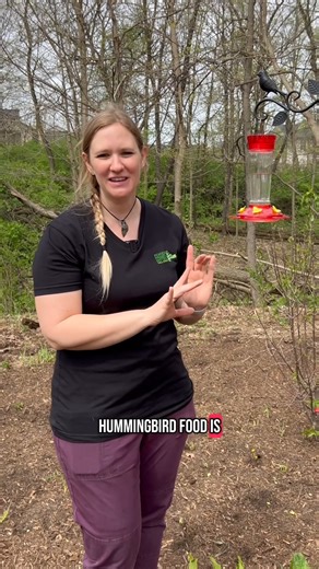 2K reactions · 699 shares | Here's the recipe for success when it comes to making #hummingbird nectar. #birdlife #Birds #willcounty | Forest Preserve District of Will County | Facebook
