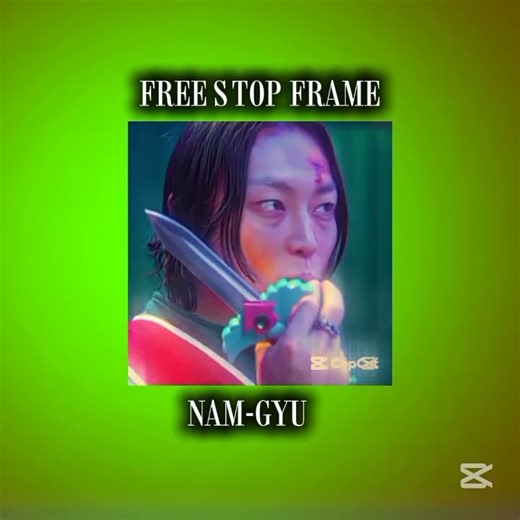 Free stop frame nam-gyu