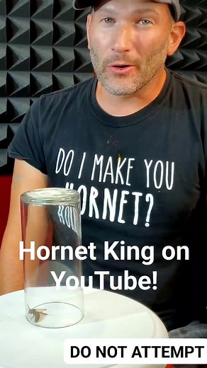 156K views · 3.7K reactions | A little wasp sting satire! No males (human or hornet) were harmed during the making of this video  #fyp #reels #viral #hornetking #Sting | Hornet King | Facebook