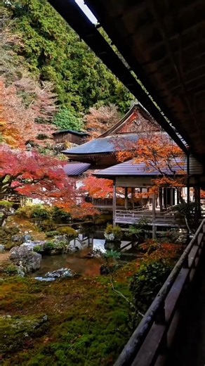 Japanese Gardens 日本庭園 on Instagram: "The more you know, the less you need. -Yvon Chouinard 📍 Joshokoji Temple, Kyoto, Japan 📸 @asami_to_iori #japanese_gardens #常照皇寺"
