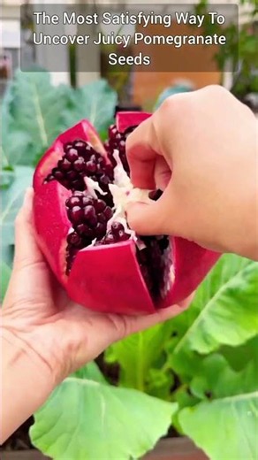 How To Perfectly Open And Enjoy A Ripe Pomegranate