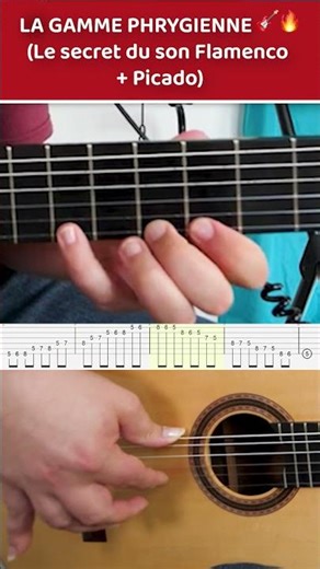 LA PHRYGIEN : La Gamme Indispensable + Technique PICADO 🎸✨