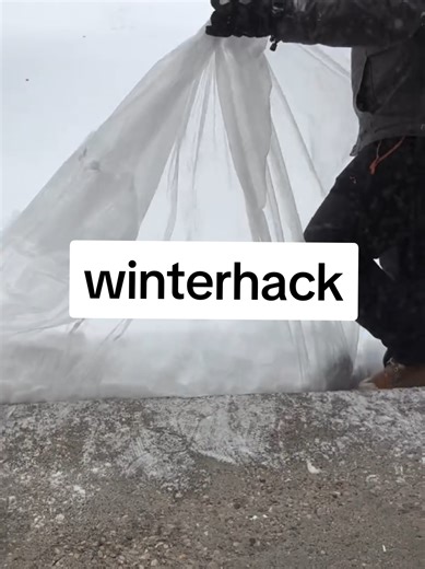 Essential Winter Hacks for Cold Weather Living