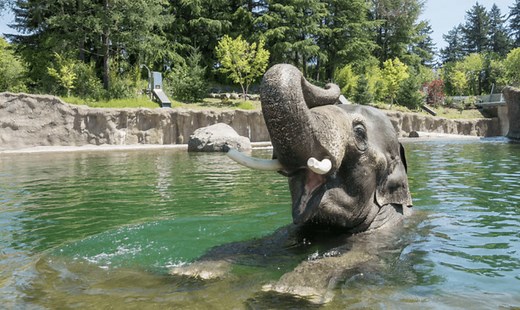 Date Ideas Portland Oregon: 50+ Romantic things to do for Couples