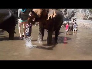 Tourist trying to wash elephant's trunk gets launched through the air