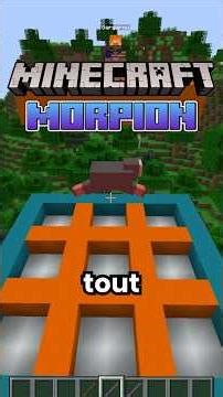 Minecraft Morpion 5