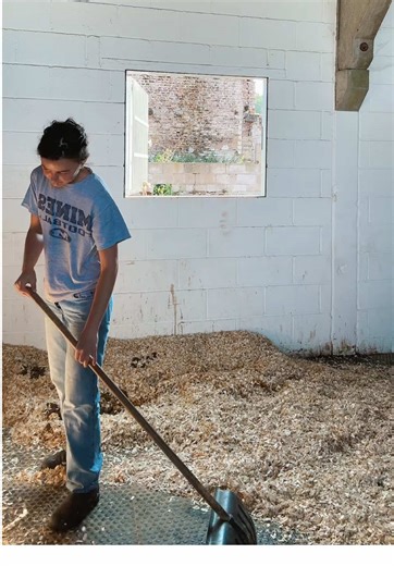 Mi rutina de entrenamiento ecuestre diaria