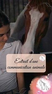Extrait de communication avec un cheval #comportement #sequelles #relation #epanouissement #apaisement #emiliecomanimale | Emilie Com'animale