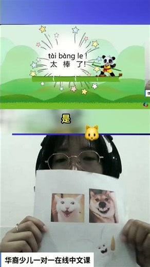 快跟我叫出这些小动物，认识小猫小狗小兔子！