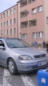 Cops k9 training | German shepherds