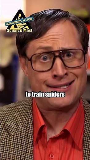 Spiders and cobwebs 🕷️🕸️ | Sal's Science Shop | Science Max #sciencemax #spider #funny #sciencefun
