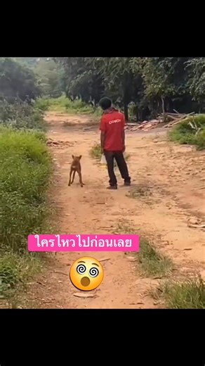 2.3K views · 43 reactions | สภาพฉันตอนนี้ ดีนะยังมีเพื่อนร่วมทาง #คลิปตลก #reelsfypシ | NooBeer Hataiwan Romyasamit | Facebook