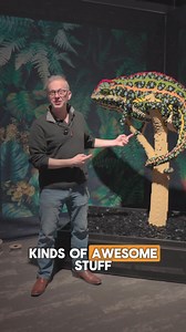 1.1K views · 30 reactions | Have you been to BRICK MASTERS STUDIO yet?? Come to Science North in Sunbury ON for hands-on fun and learn to build with LEGO bricks like a pro! @sciencenorth @theimagineteam #brickmastersstudio #seankenneyart #artwithlegobricks #lego #legomaster #brickmaster #brickmastersean #sciencenorth #legoexhibit #legoactivities | Sean Kenney's art with LEGO bricks | Facebook