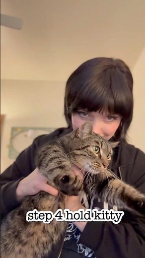 Lazy Emo Hair Tutorial 🐱 #hair #alternative #emo #hairstyle #alt #hairstyles #easyhairstyle #tweemo