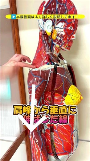 [Intramuscular injection at the deltoid muscle puncture site] Intramuscular injections at the del...