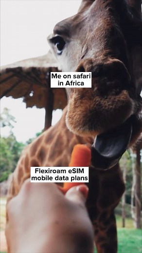 20% off Africas Regional Data Plans ends today! Use code SAFARI20 in the Flexiroam App. T&C Apply. . . . #travelhacks #traveltips #travel #esim #flexiroam #travelhack | Flexiroam