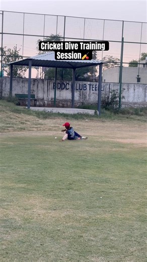 Cricket Dive Training Session #cricket #nevergiveup #cricketpractice #fielding #fieldingdrills