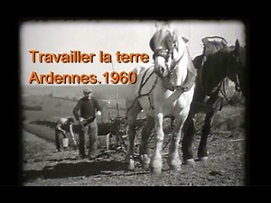 travaux des champs,Thin le Moutier 1960
