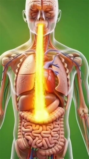 What Happens When You Eat an Orange? 🍊 | Health Explained