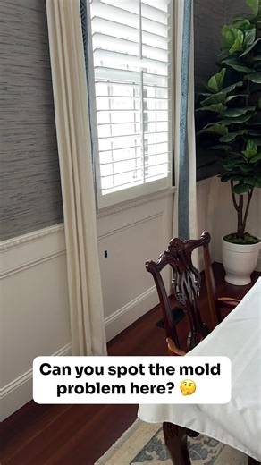 I get it, wainscoting is an aesthetically pleasing design choice. ㅤ But... it can also be problematic when it comes to mold. ㅤ Here are 3 reasons why: ㅤ 1️⃣ Traps moisture Wainscoting often leaves a gap between the decorative paneling and the wall, where moisture can get trapped. High humidity, water leaks, or condensation can build up behind the panels, creating the perfect environment for mold. ㅤ 2️⃣ Lack of airflow Covering part of the wall, wainscoting limits airflow, preventing moisture fro