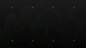 Rb脚本中心付费版最新功能演示实战演示