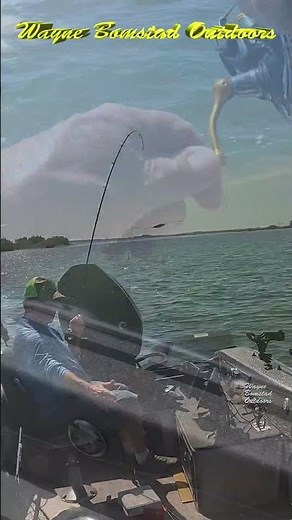 Devils Lake Walleyes #shorts