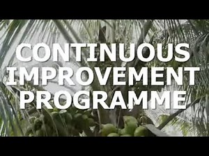 Driving Excellence: The Continuous Improvement Program - Deejay Farms