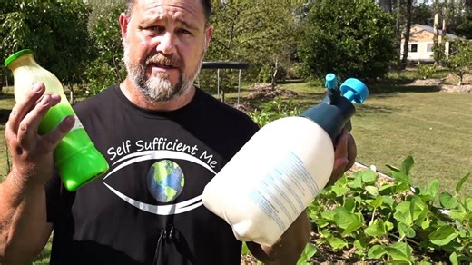 10 genius organic pest control hacks for a thriving food garden!