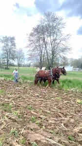 We finally got some rain, time for some fall plowing! | Ty Moore