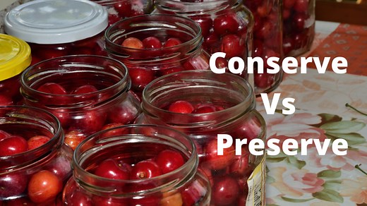 Conserve vs Preserve? What is the Difference in Meaning? - One Minute English