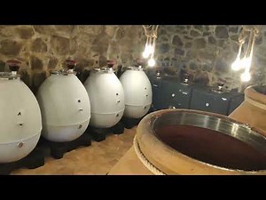 Malolactic Fermentation in Wines: What is it?