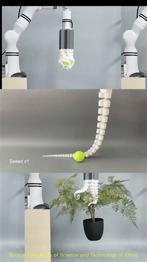 engineer_know on Instagram: "🌌 SpiRobs – Nature’s Spiral Inspiring Future Robotics From seashells to galaxies, the logarithmic spiral is everywhere in nature. 🌊✨ Inspired by this design, SpiRobs are bioinspired robots that are: ✅ 3D-printed and easy to build ✅ Actuated by cables for fast, life-like motion ✅ Capable of grasping objects of any shape, size, or weight With prototypes ranging from mini grippers to drone-mounted manipulators and tendril-like multi-robot arrays, SpiRobs show us how n