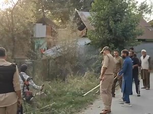 J&K Police carries out wild bhang destruction drive in Lokipora Qaziabad Meer Javaid In a concerted effort to curb the illegal cultivation of narcotic substances, J&K Police today conducted a wild bhang destruction drive in Lokipora Kralgund in Handwara. The drive was led by SHO Police Station Kralgund Inspector Sameer Altaf, covering the area of Lokipora Qaziabad. During the operation, wild bhang (cannabis) cultivation were destroyed on the spot. This initiative is part of the ongoing anti-drug