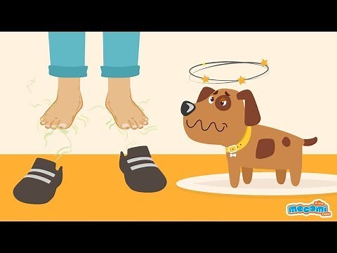 Why do feet smell? - Curious Questions with Answers | Educational Videos by Mocomi
