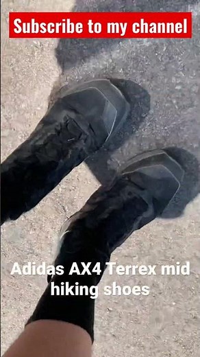 Adidas AX4 Terrex Mid Hiking shoes