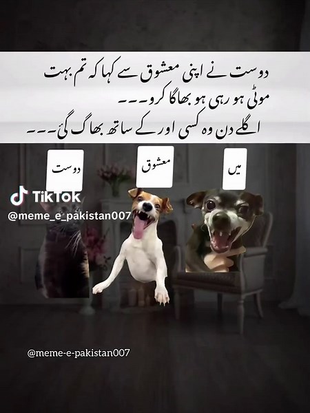 Bado Badi Hogaya Dost Ky Sath😂🤣#foryoupage #viralvideo #100k #funny #meme