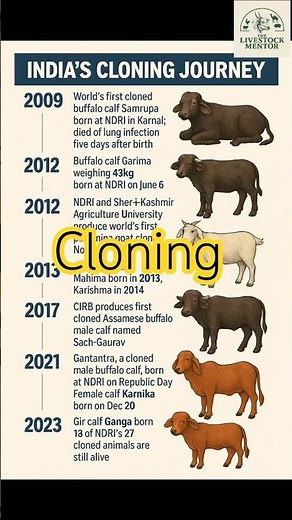 🐃 World’s First Cloned Buffalo to India’s First Cloned Cow | NDRI’s Incredible Cloning Story #ndri 🔥