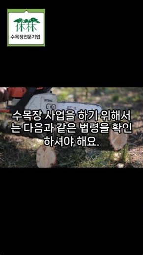 수목장 창업 전, 이 법부터 확인하세요!