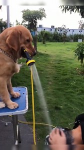 Death Memes on Reels