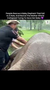 7.8K reactions · 11 shares | Well Done, Humans  ©️ ABC News | Free Your Mind and Think | Facebook