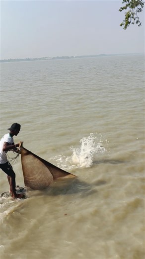 Fishing in the Land of Tigers: Dangerous River Casting #amazing #fishing #villagelife #foryou